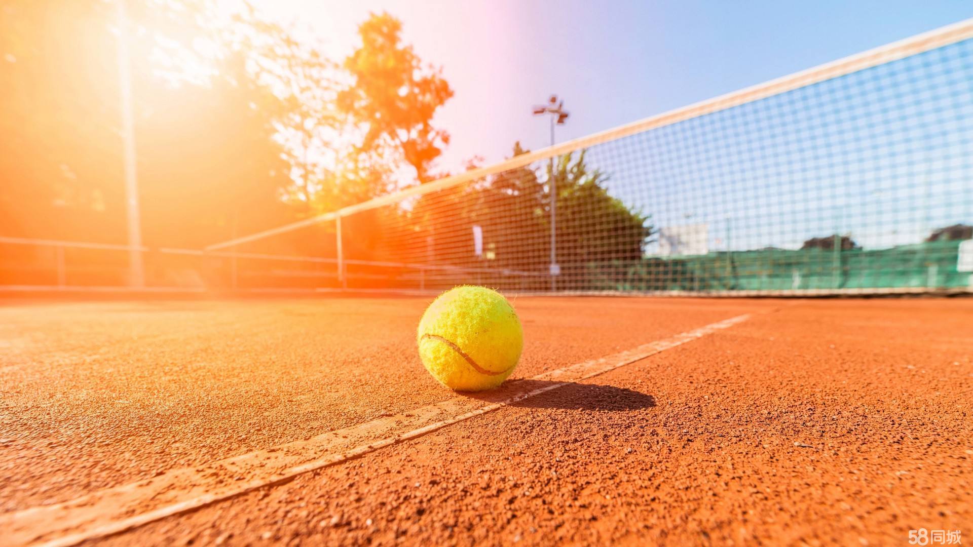 别的球员来 别的球员来