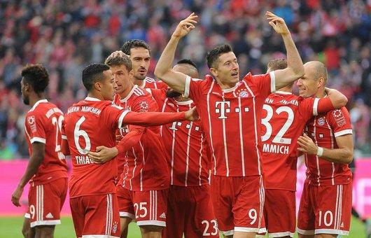 的悉心调整 的悉心调整